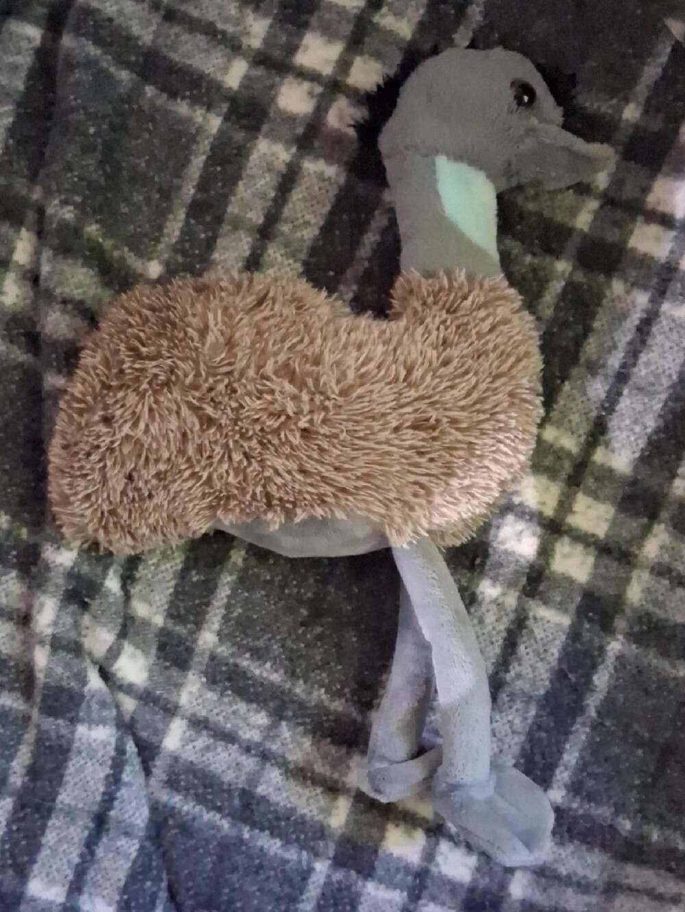 Emu - Picture 3 of 3